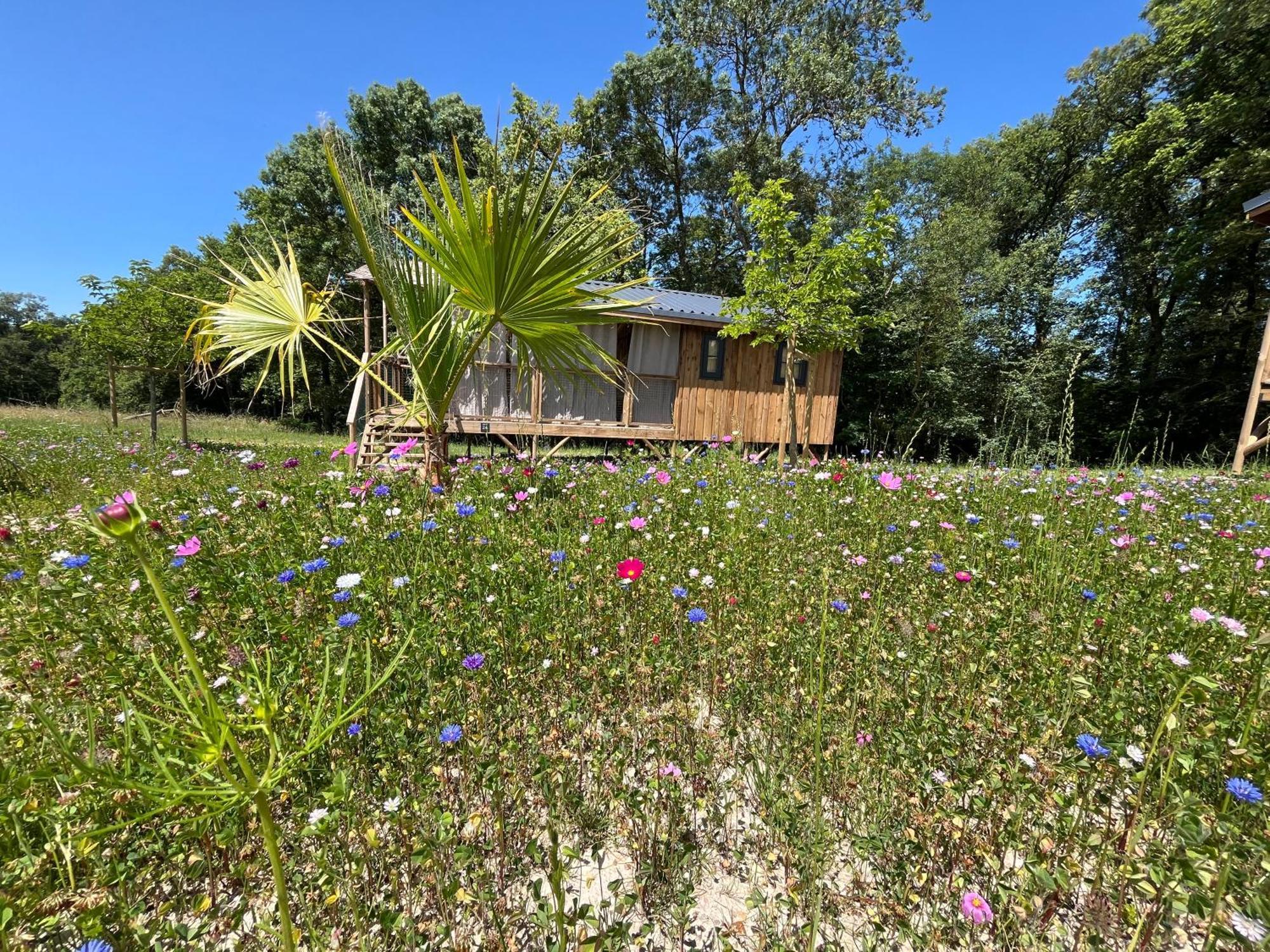 La Buissonniere Lodges Chisseaux Kültér fotó
