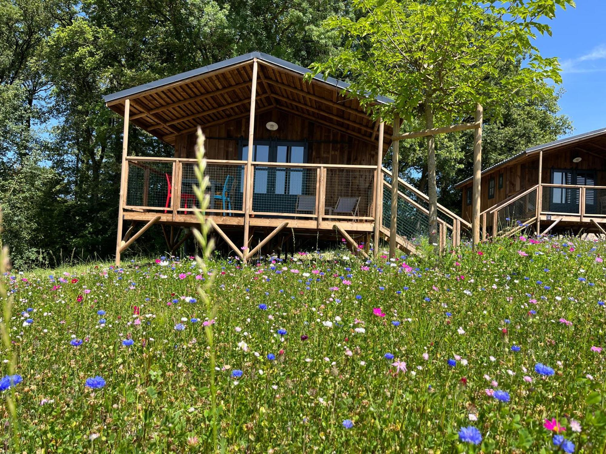 La Buissonniere Lodges Chisseaux Kültér fotó